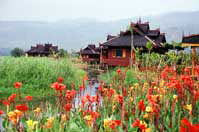 Inle Resort and flower garden