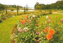 Garden, flowers and lakes