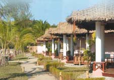 Suite bungalows