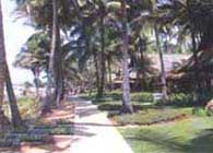 Bungalows on Ngew Saung beach