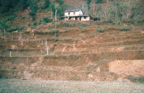 A village - Pokhara
