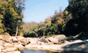 Alaungdaw Kathapa forest