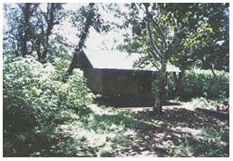 A Hut on the trail to Mt Popa summit