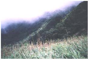 Crater of Mt Popa