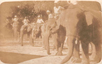 Myanmar timber elephants and their trainers in Madaya - Mandalay division