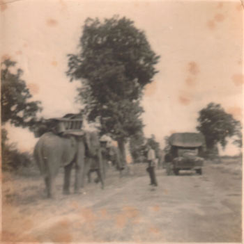 Timber elephants on highway in Swa - Taungoo (1951-55)