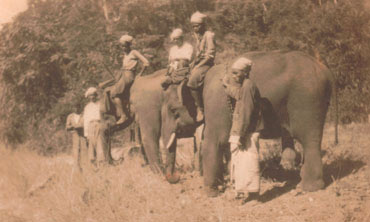 Myanmar timber elephants and their trainers in Madaya - Mandalay division