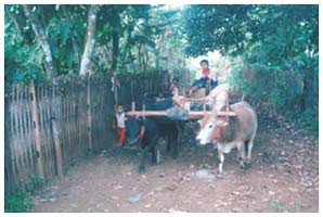 Palaung village near Lashio