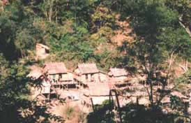 A timber elephant camp