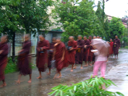 Offering Monks' alm in the rain