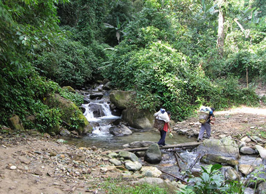Upper Shankhaung to Warsandan walk