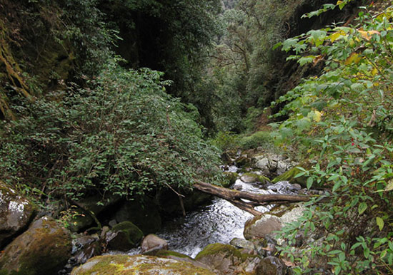 Phangran creek