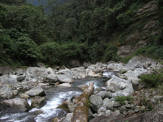 Walking over the stream