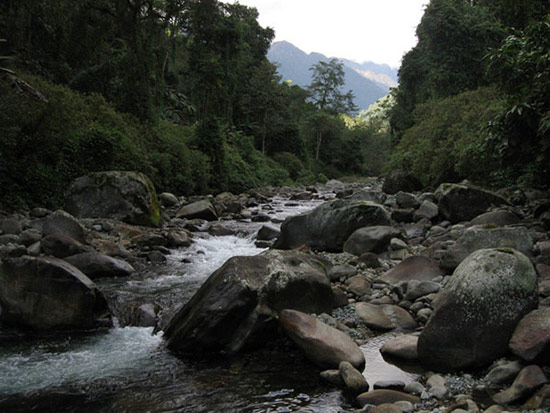 And more walking overthe creek