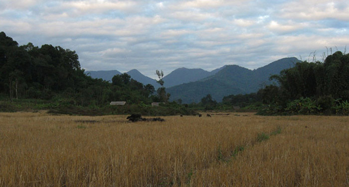 Farms near Warsandan village