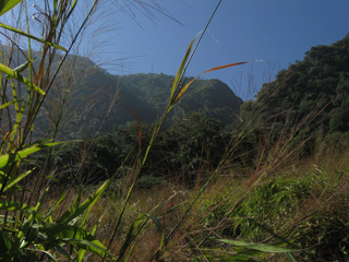 View of peaks from an opening