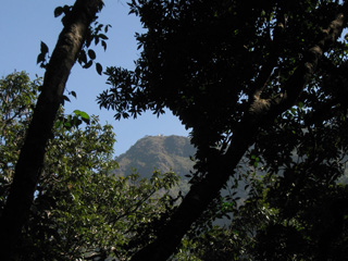 View of the peaks again