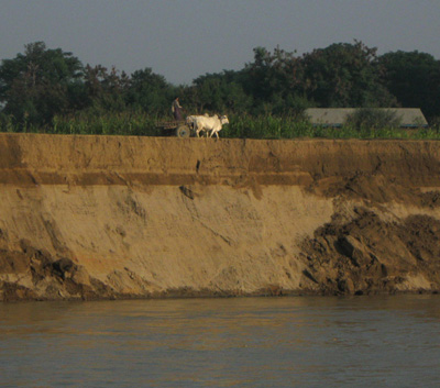 A bullock cart on the sand bank near Pakokku