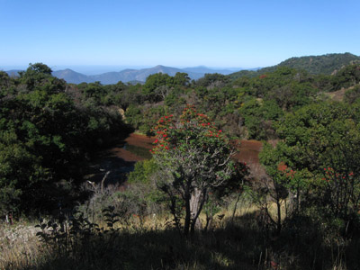 A pond about 2 miles down the peak