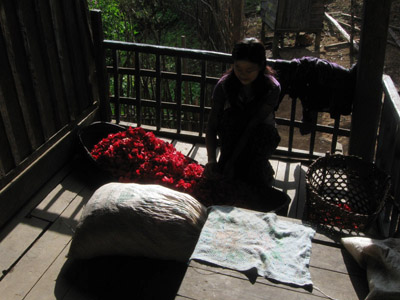 Making wine from Taung Zalat flowers