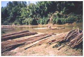Bamboo rafting on Sein Ye stream in Bago Yoma mountain range - near Taungoo