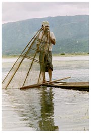 Inle lake fisherman