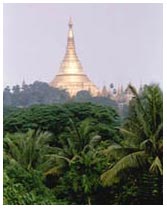 Shwedagon pagoda