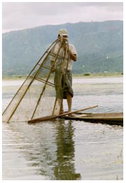 Fisherman on Inle lake